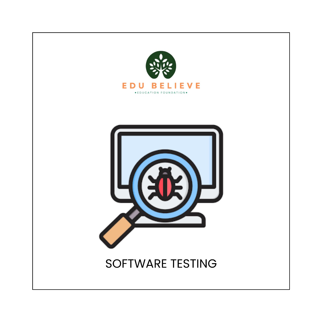 Software Testing
