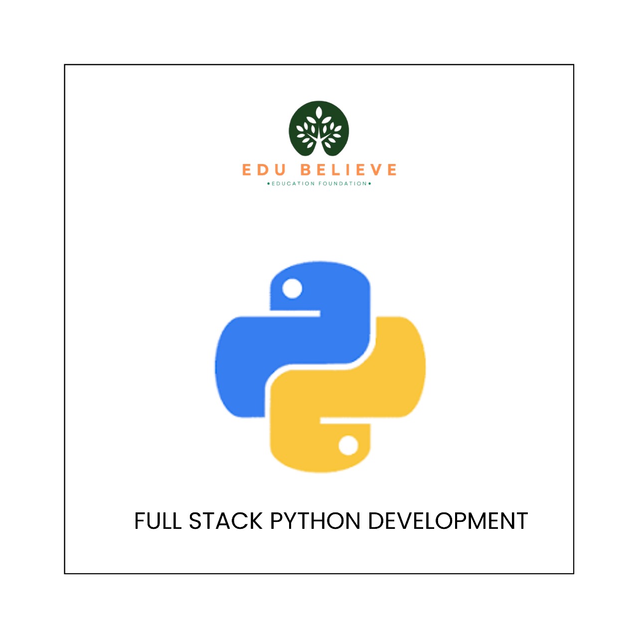 Full Stack Python Development